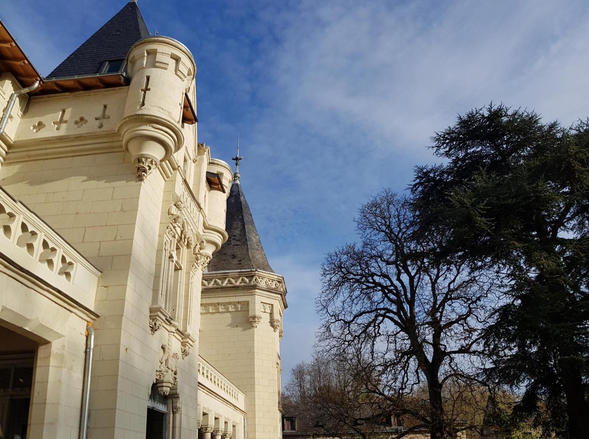 Chateau De Salvert - 4 Gites - 32 Personnes Neuillé Exteriör bild